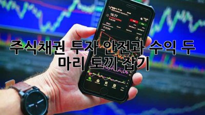 주식채권 투자: 안전과 수익, 두 마리 토끼 잡기