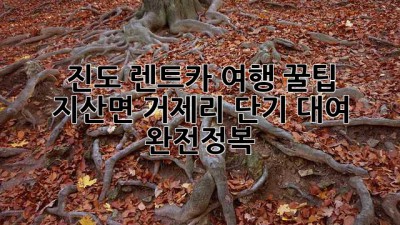 진도 렌트카 여행 꿀팁 🚗💨 지산면 거제리 단기 대여 완전정복!